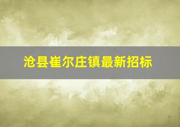 沧县崔尔庄镇最新招标