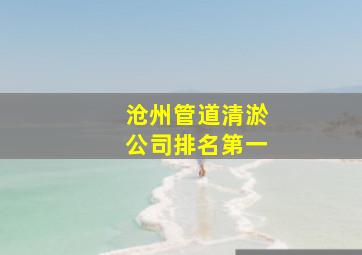 沧州管道清淤公司排名第一