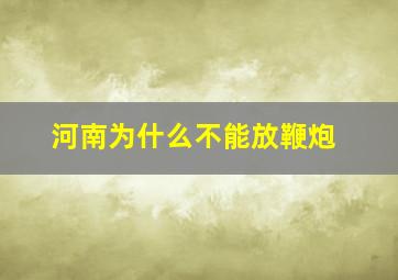 河南为什么不能放鞭炮