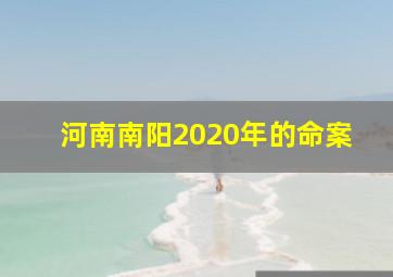 河南南阳2020年的命案