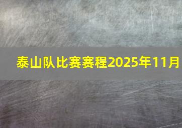 泰山队比赛赛程2025年11月