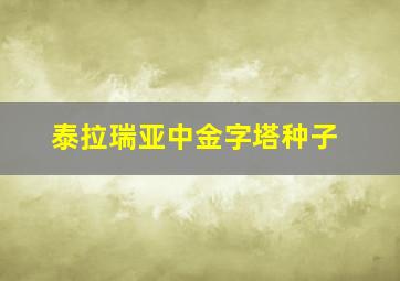 泰拉瑞亚中金字塔种子