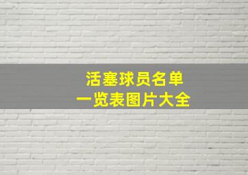 活塞球员名单一览表图片大全