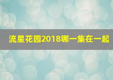 流星花园2018哪一集在一起