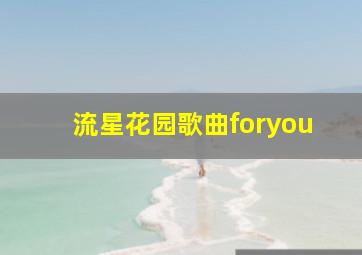 流星花园歌曲foryou