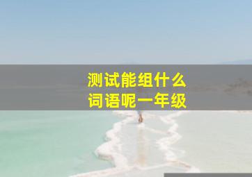 测试能组什么词语呢一年级