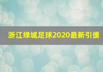 浙江绿城足球2020最新引援