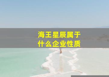 海王星辰属于什么企业性质