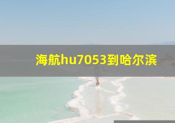 海航hu7053到哈尔滨