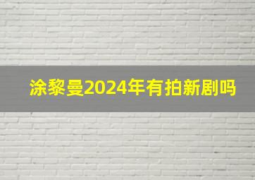 涂黎曼2024年有拍新剧吗