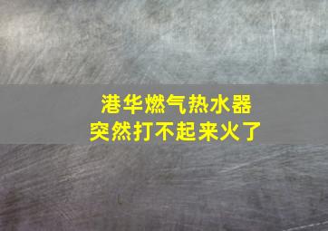 港华燃气热水器突然打不起来火了