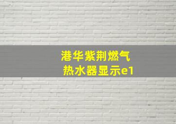 港华紫荆燃气热水器显示e1