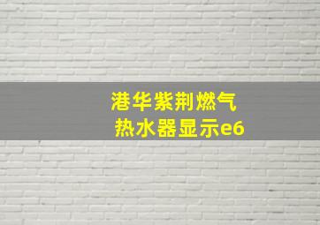 港华紫荆燃气热水器显示e6