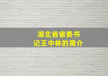 湖北省省委书记王中林的简介