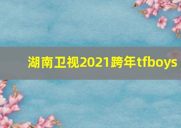 湖南卫视2021跨年tfboys