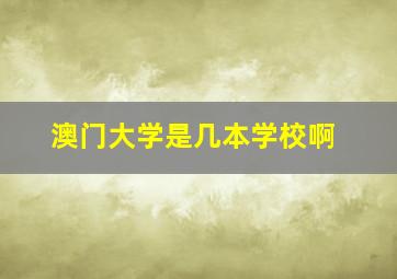 澳门大学是几本学校啊