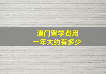 澳门留学费用一年大约有多少