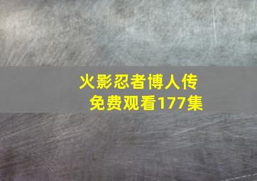 火影忍者博人传免费观看177集