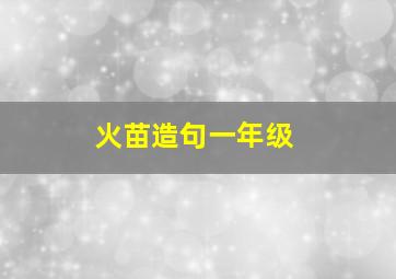 火苗造句一年级