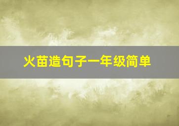 火苗造句子一年级简单