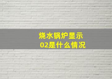 烧水锅炉显示02是什么情况