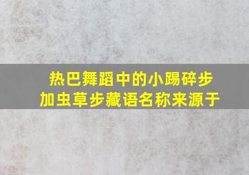 热巴舞蹈中的小踢碎步加虫草步藏语名称来源于