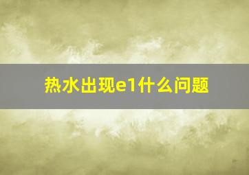 热水出现e1什么问题