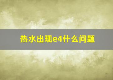 热水出现e4什么问题