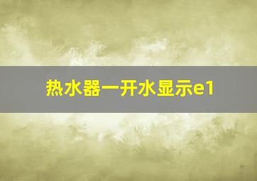 热水器一开水显示e1