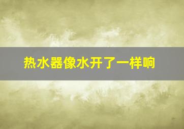 热水器像水开了一样响