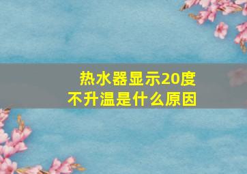 热水器显示20度不升温是什么原因