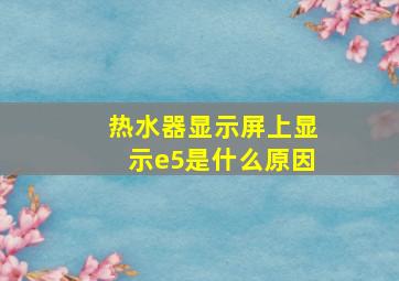 热水器显示屏上显示e5是什么原因