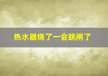 热水器烧了一会跳闸了