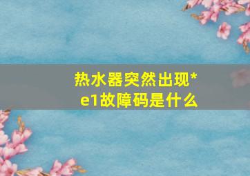 热水器突然出现*e1故障码是什么