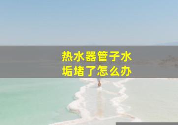 热水器管子水垢堵了怎么办