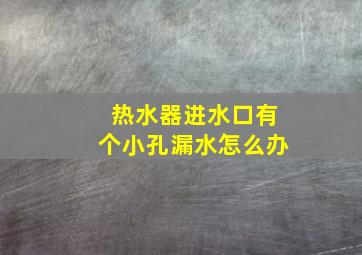 热水器进水口有个小孔漏水怎么办