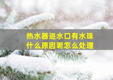 热水器进水口有水珠什么原因呢怎么处理