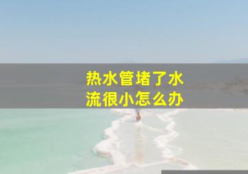 热水管堵了水流很小怎么办