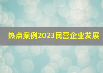 热点案例2023民营企业发展