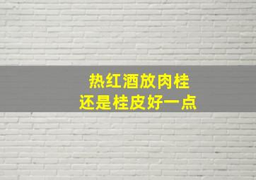 热红酒放肉桂还是桂皮好一点