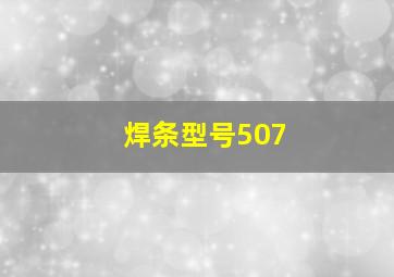 焊条型号507