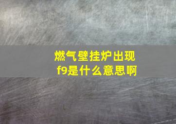 燃气壁挂炉出现f9是什么意思啊