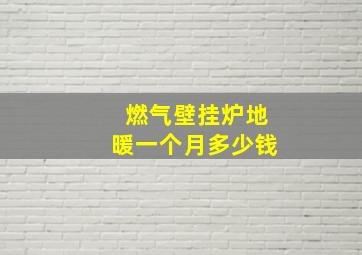 燃气壁挂炉地暖一个月多少钱