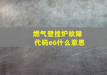 燃气壁挂炉故障代码e6什么意思