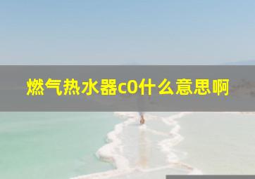 燃气热水器c0什么意思啊