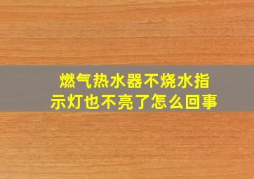 燃气热水器不烧水指示灯也不亮了怎么回事