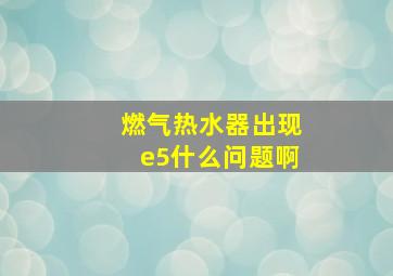 燃气热水器出现e5什么问题啊