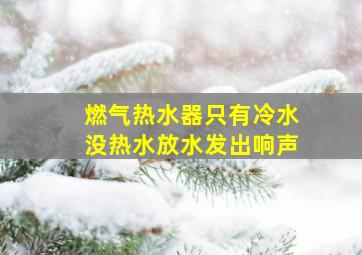 燃气热水器只有冷水没热水放水发出响声