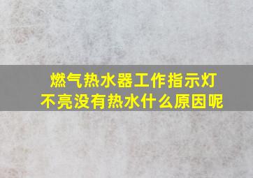 燃气热水器工作指示灯不亮没有热水什么原因呢