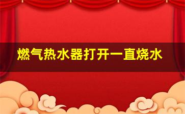 燃气热水器打开一直烧水